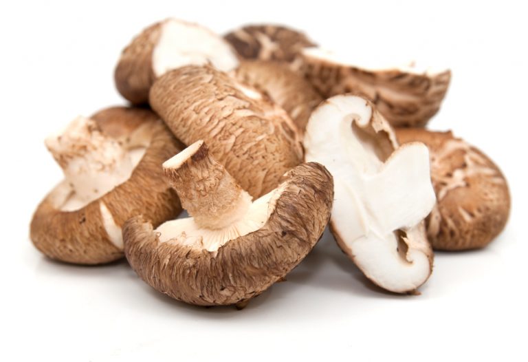 Shiitake Medicinal Mushrooms